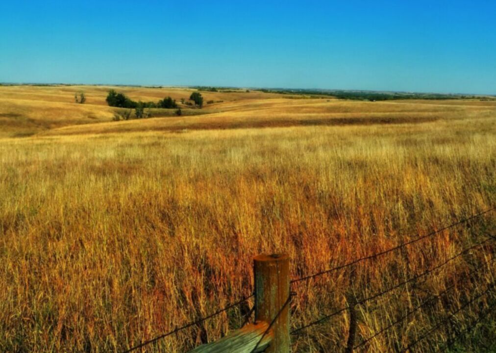 #19. Nebraska
